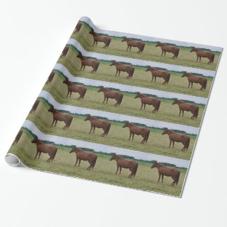 Papel de embrulho de cavalo
