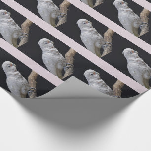 Papel de embrulho de Cockatoo de Goffin