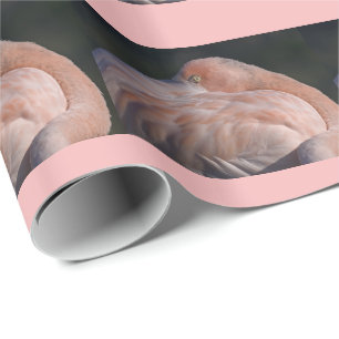 Papel de embrulho de flamingo dormindo
