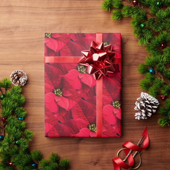 Papel de embrulho de flor de poinsettia vermelha d (Presente de Natal)