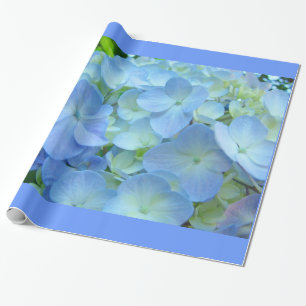 Papel de embrulho de flores de hortênsia azul past