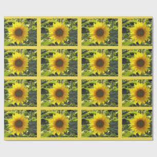Papel de embrulho de flores suntuosas Sassy Summer