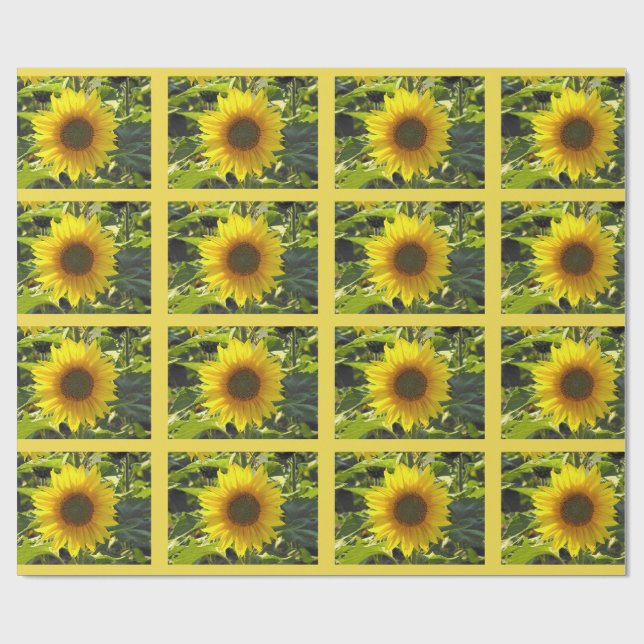 Papel de embrulho de flores suntuosas Sassy Summer (Aberto)