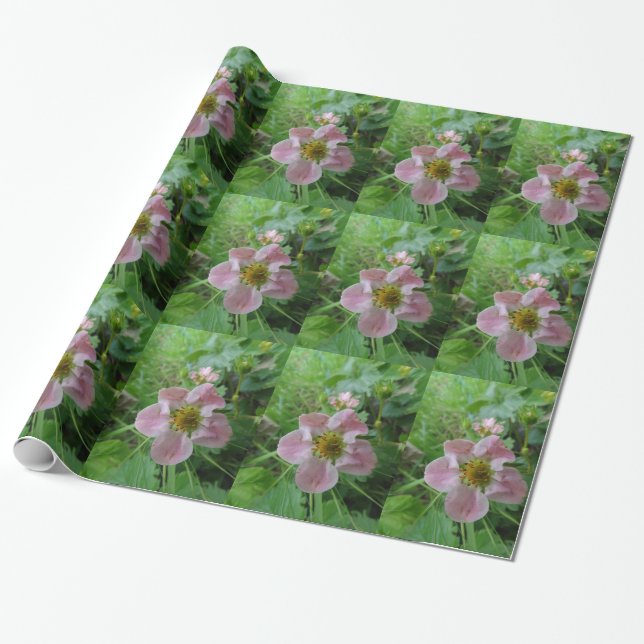 Papel de embrulho de foto de flor rosa (Desenrolado)
