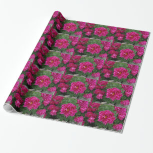 Papel de embrulho de fotografia de flores cor-de-r