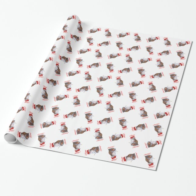 Papel de embrulho de gato persa Calico (Desenrolado)