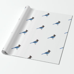 papel de embrulho de jay azul estelar