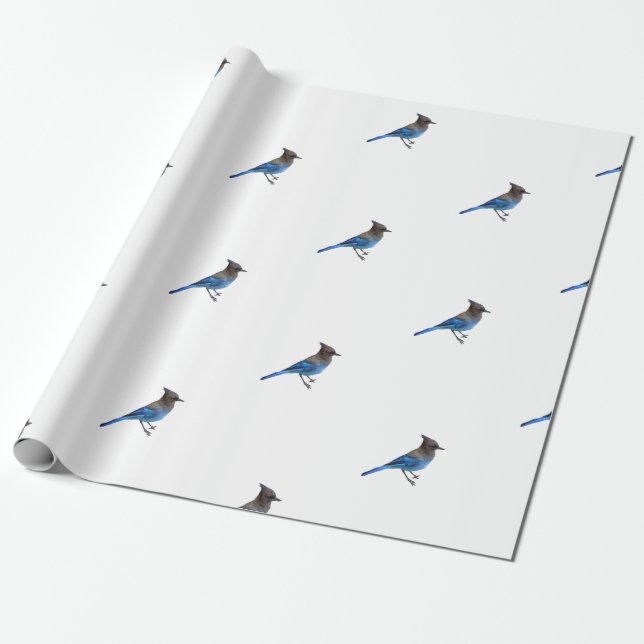 papel de embrulho de jay azul estelar (Desenrolado)