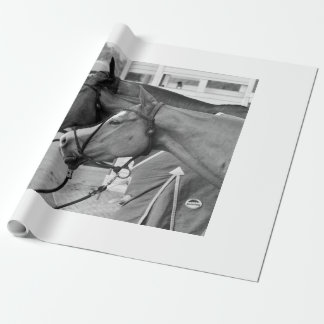 Papel de embrulho de pônei polo