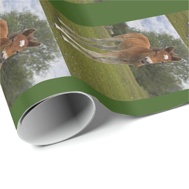 Papel de embrulho de potro (Ponta do rolo)