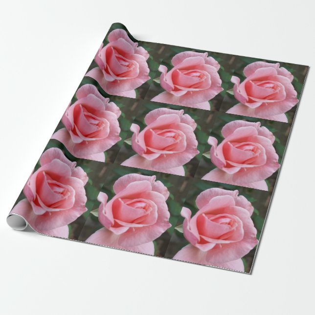 Papel de embrulho de presente rosa rosa rosa rosa  (Desenrolado)