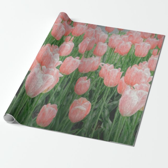 Papel de embrulho de tulipa rosa claro (Desenrolado)