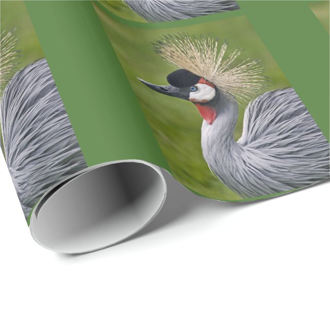 Papel de embrulho do Grou-coroado (Ponta do rolo)