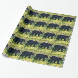 Papel de embrulho do Papai Urso Preto