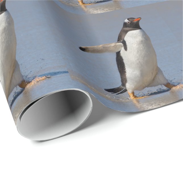 Papel de embrulho Gentoo remando (Ponta do rolo)