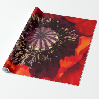 Papel de embrulho Laranja Papoula