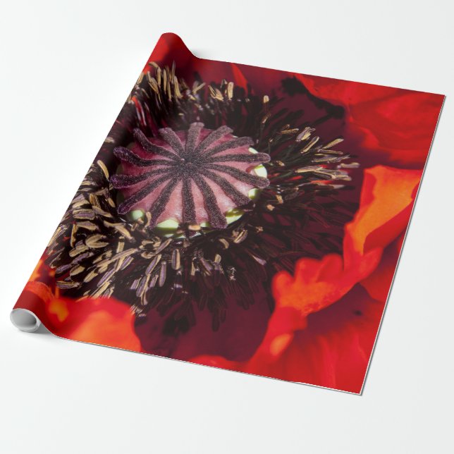 Papel de embrulho Laranja Papoula (Desenrolado)