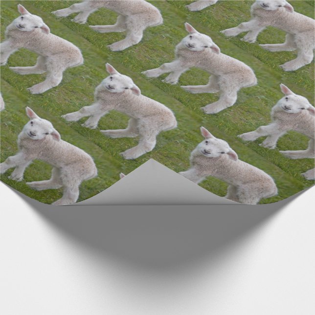 Papel de embrulho Little Lamb (Ponta)