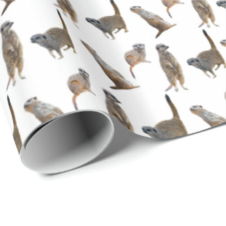 Papel de embrulho Meerkat Frenzy (Escolha a cor)