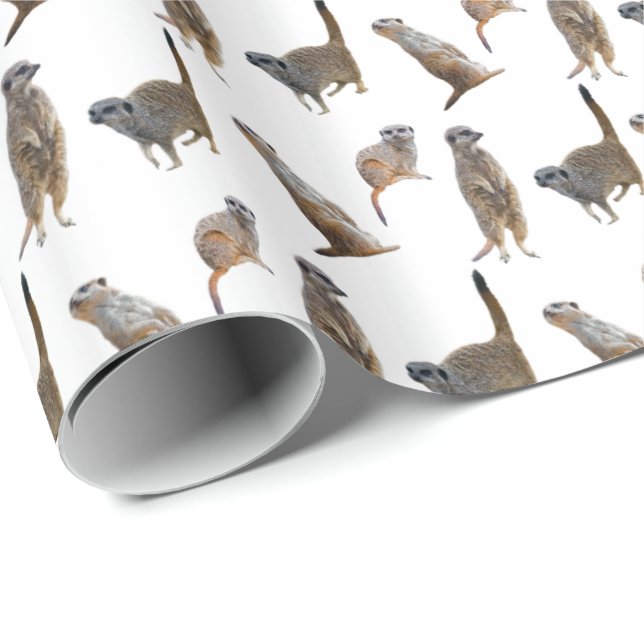 Papel de embrulho Meerkat Frenzy (Escolha a cor) (Ponta do rolo)