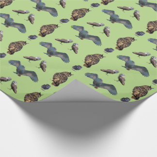 Papel de embrulho Owl Frenzy (verde claro)