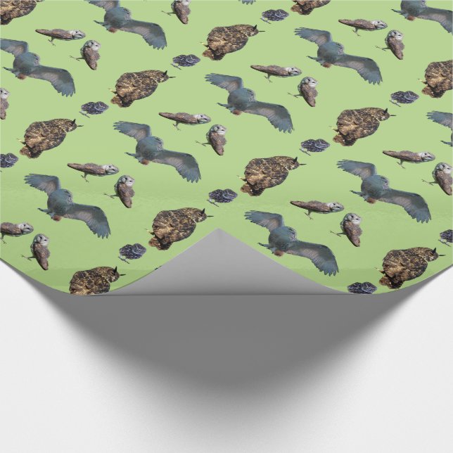 Papel de embrulho Owl Frenzy (verde claro) (Ponta)