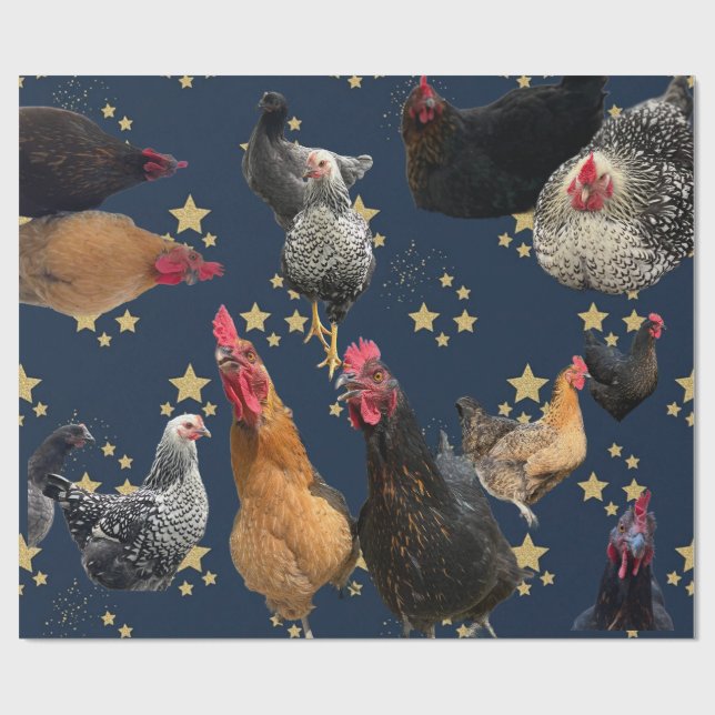 Papel de embrulho para todas as ocasiões Chicken M (Aberto)