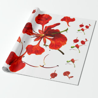 Papel de Embrulho Royal Poinciana