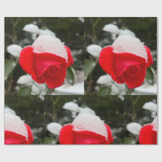 Papel de embrulho Winter Rose