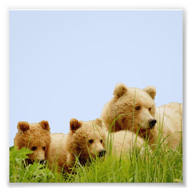 Papel de fotografia profissional do Kodak 6x6 (Sat (Frente)