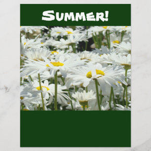 Papel de livro digital Temas de Verão Daisies Scra