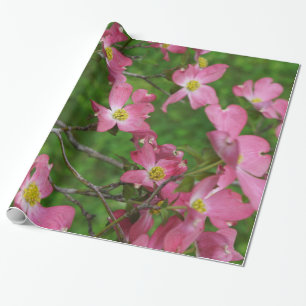 Papel de papel de embrulho cor-de-rosa do Dogwood