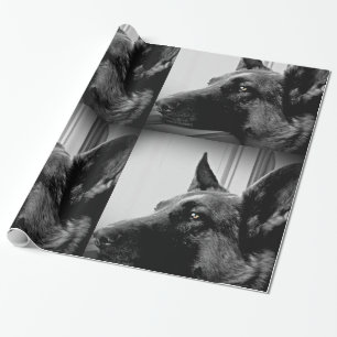 Papel de papel de embrulho do german shepherd