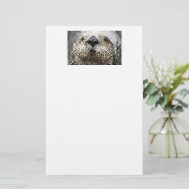 Papel de papelaria com foto do rosto da lontra mar (Em pé/Frente)