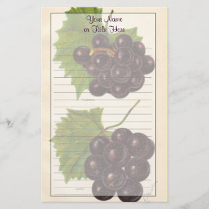 Papel de papelaria Vintage Graphics
