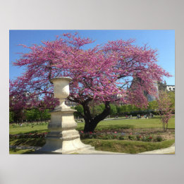 Papel de Poster de Cherry Blossoms (Matte)