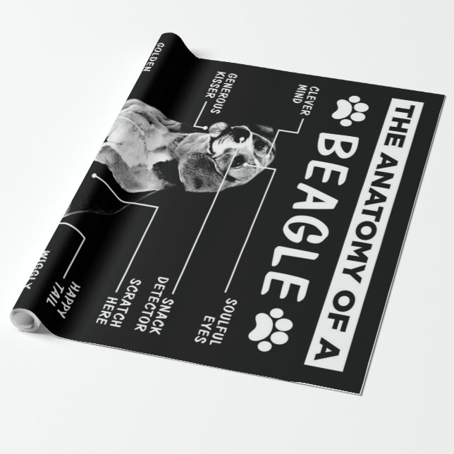 Papel De Presente A Anatomia De Um Cachorro De Beagle (Desenrolado)