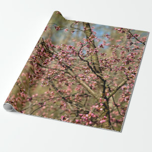 Papel De Presente A Árvore Sakura Está Pronta Para Blogar Na Primave