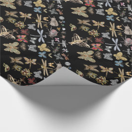 Papel De Presente A Borboleta-sombra Elegante Insetou O Besouro Negr