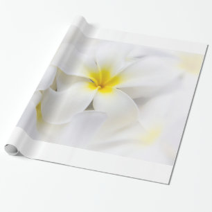 Papel De Presente A flor de Havaí do Frangipani do Plumeria floresc