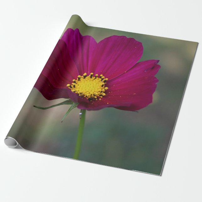 Papel De Presente A flor perfeita da irmã (Desenrolado)