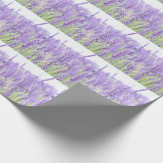 Papel De Presente A lavanda coloca a fotografia, vários presentes