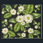 Papel De Presente A magnólia floresce o papel de envolvimento<br><div class="desc">Design do papel de envolvimento da flor da magnólia baseado em nosso impressão da arte da magnólia #9,  este com fundo preto dramático.</div>