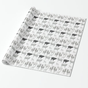 Papel De Presente A ovelha negra ousa ser diferente do embrulho do p