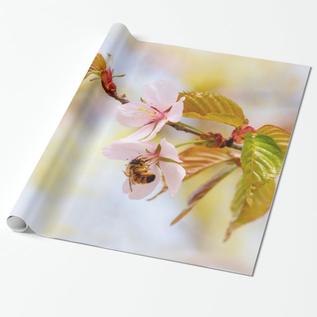 Papel De Presente Abelhas Em Uma Flor De Cereja (Desenrolado)