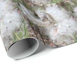 Papel De Presente Abra Milkweed Pods | Sementes de Seda |