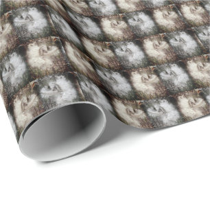 Papel De Presente Abra Milkweed Pods Sementes de Seda Filtros