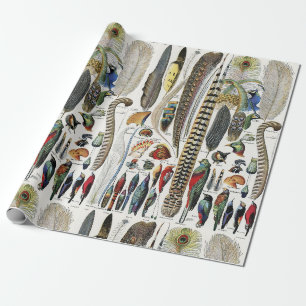 Papel De Presente Adolphe Millot Dark Academia Vintage Pena de Pássa
