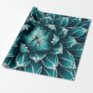 Papel De Presente agave cacto, fundo da natureza abstrato, vista sup