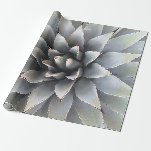 Papel De Presente Agave Succult Plant Cactus Green Sage (Desenrolado)